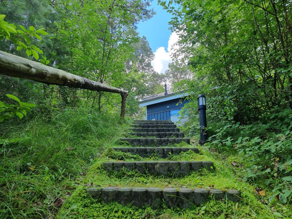 Haus Sandra バーベ エクステリア 写真