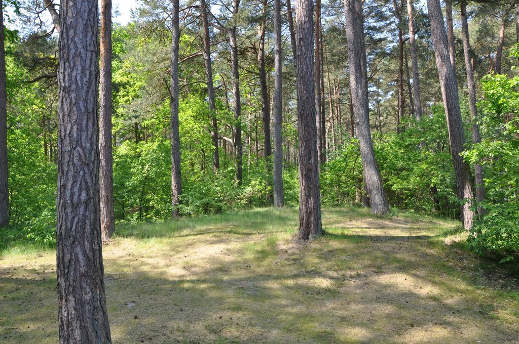 Haus Sandra バーベ エクステリア 写真